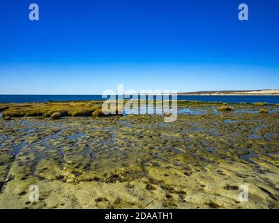 Die Valdés Halbinsel oder Halbinsel Valdés ist ein Küstenmerkmal der Provinz Chubut, Argentinien. Stockfoto