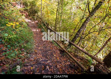 Fantastische Herbstwanderung entlang des Aachtobel zur Hohenbodman Beobachtung Turm in der Nähe des Bodensees Stockfoto