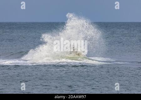 Eine Welle bricht dramatisch über einem Felsen an der Küste von Craster, Northumberland, Großbritannien Stockfoto