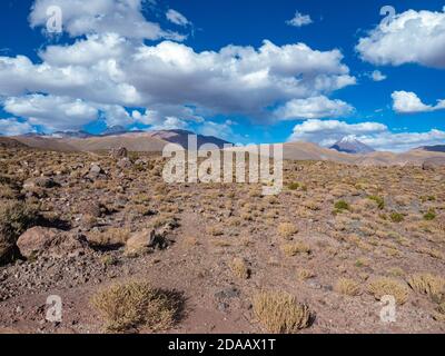 Die Atacama-Wüste ist eine hyperaride Region in Chile in Südamerika. Atacama ist bekannt als eine der trockensten Regionen der Erde. Stockfoto