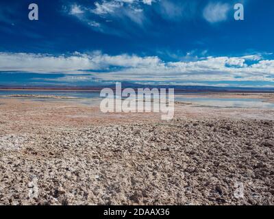 Die Atacama-Wüste ist eine hyperaride Region in Chile in Südamerika. Atacama ist bekannt als eine der trockensten Regionen der Erde. Stockfoto