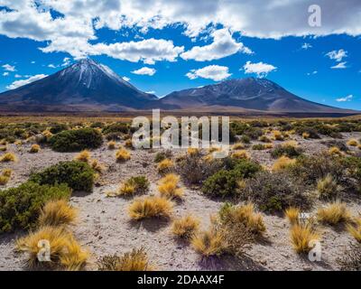 Die Atacama-Wüste ist eine hyperaride Region in Chile in Südamerika. Atacama ist bekannt als eine der trockensten Regionen der Erde. Stockfoto