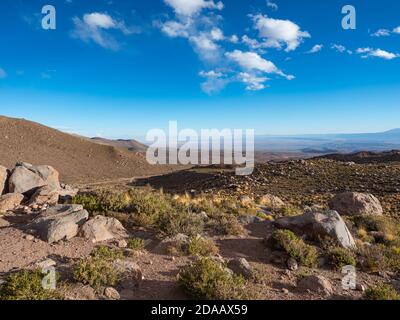 Die Atacama-Wüste ist eine hyperaride Region in Chile in Südamerika. Atacama ist bekannt als eine der trockensten Regionen der Erde. Stockfoto