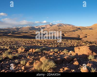 Die Atacama-Wüste ist eine hyperaride Region in Chile in Südamerika. Atacama ist bekannt als eine der trockensten Regionen der Erde. Stockfoto