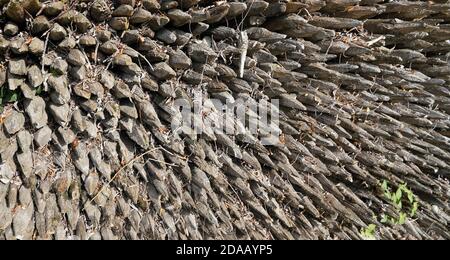 Zaun Pfosten Holzpfähle Garten Stockfoto