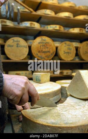 Keller, wo reift typisch italienischen Bergkäse aus der Valtellina Gebiet in der Lombardei Region Stockfoto