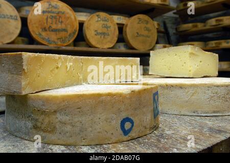 Keller, wo reift typisch italienischen Bergkäse aus der Valtellina Gebiet in der Lombardei Region Stockfoto