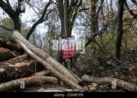 Titsey, Surrey, Großbritannien. 11. November, 2020.Keep off log Stacks Zeichen wie Entwaldung findet in Titsey, Surrey Kredit: Keith Larby / Alamy Live News Stockfoto