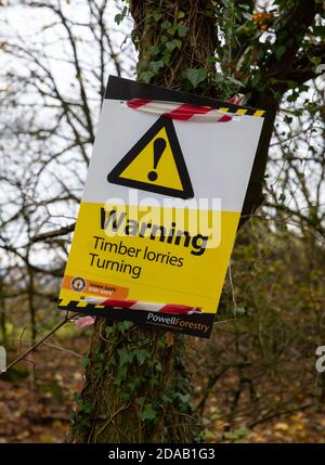 Titsey, Surrey, Großbritannien. November 2020. Warnung, Holzlastwagen drehen Zeichen als Entwaldung findet in Titsey, Surrey Kredit: Keith Larby/Alamy Live News Stockfoto