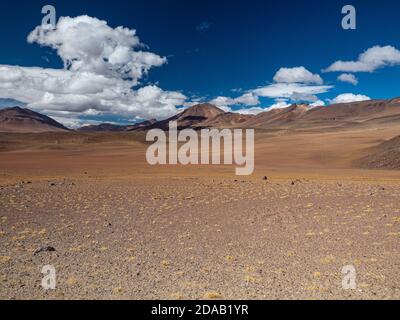 Landschaft auf Lipez in Bolivien.die Provinz Sud Lípez ist eine der 16 Provinzen des Departements Potosí in Bolivien Stockfoto