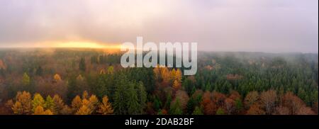 Nebel über einem herbstbunten Wald in der Herbstsaison, ein mystischer Panoramablick auf den Sonnenuntergang, der von einer Drohne aufgenommen wurde. Stockfoto