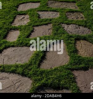 Amerikanischer Friedhof Flanders Field WWI (Belgien - Waregem) Stockfoto