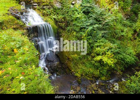 Schöner kleiner Wasserfall, umgeben von Grün Stockfoto