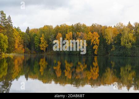 Herbstzeit helle Farben rund um den See im Wald. Nelijarve, Estland. Stockfoto