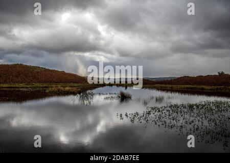Stürmisches Wetter mit Wolkenreflexen bei Lily Tarn fiel Loughrigg in der Nähe von Amblesdie im englischen Seengebiet Stockfoto