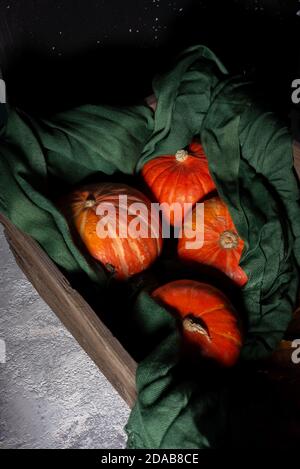 Herbst Stillleben rote Kürbisse liegen in einem grünen Schal in einer alten Holzkiste, auf dunklem Hintergrund Rustikales Herbst Stillleben mit Mini-Kürbissen auf altem Holz Stockfoto