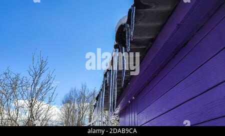 Große scharfe transparente Eiszapfen hängen vom Holzhausdach Stockfoto