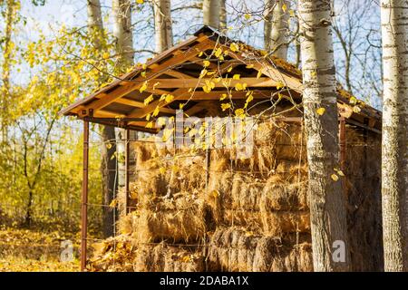 Heuboden in schönen Herbstsonnenstrahlen Stockfoto