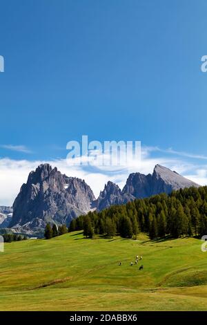 Seiser Alm - Seiser Alm - Gröden Süd Tirol Italien Panoramablick auf den Langkofel Stockfoto