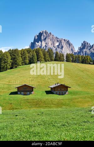 Seiser Alm - Seiser Alm - Gröden Süd Tirol Italien Panoramablick auf den Langkofel Stockfoto