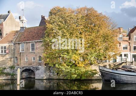 Rotterdam, Niederlande, 23. Oktober 2020: Großer Kastanienbaum in Herbstfarben am Kai des Aelbrechtskolk-Kanals im historischen Delfshaven-Viertel Stockfoto