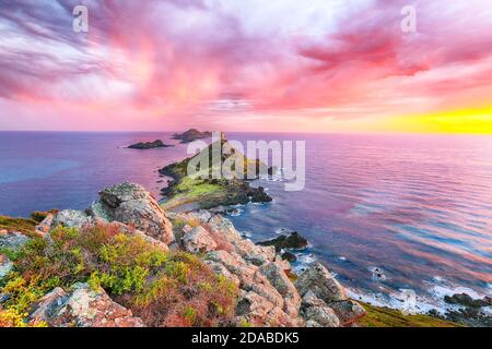 Sonnenuntergang über dem beliebten Touristenziel Torra di a Parata mit genuesischem Turm und Archipel der Sanguinaires Inseln im Hintergrund. Lage: Corse-du Stockfoto