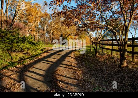 Bäume und Schatten von Zaun entlang Schotterstraße in Zentral Virginia im Herbst. Stockfoto