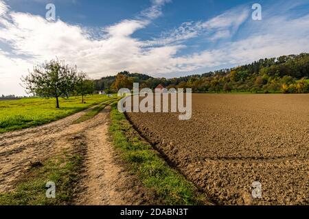 Fantastische Herbstwanderung entlang des Aachtobel zur Hohenbodman Beobachtung Turm in der Nähe des Bodensees Stockfoto