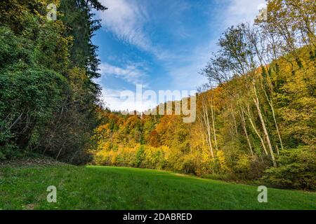 Fantastische Herbstwanderung entlang des Aachtobel zur Hohenbodman Beobachtung Turm in der Nähe des Bodensees Stockfoto