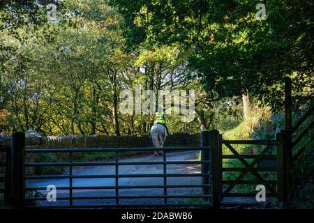 Herbstfarben auf den Bäumen, während Pferd und Reiter auf den Gassen um Anglezarke, Rivington Chorley Lancashire UK spazieren Stockfoto