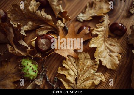 Draufsicht auf eine Komposition aus Eichen- und Ahornblättern, reifen Kastanien auf einem braunen Holzbrett. Herbststimmung. Stockfoto