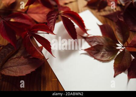 Rote Herbstblätter und leeres Papier mit Platz für Text, auf Holzhintergrund. Herbsthintergrund Komposition. Stillleben von Herbstblättern. Stockfoto