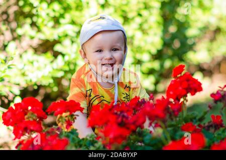 Happy Baby lächelnd mit Hut sorrounded von roten Blumen und Grüne Hecke Stockfoto