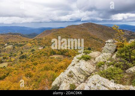 Herbstbild vom spanischen Berg Montseny, in der Nähe von Santa fe del Montseny, Katalonien Stockfoto