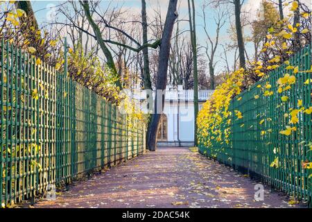 Sankt Petersburg, Russland. 09. November 2020. Leere Gasse des Sommergartens. Horizontale Ausrichtung, selektiver Fokus. Stockfoto