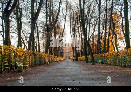 Sankt Petersburg, Russland. 09. November 2020. Leere Gasse des Sommergartens. Horizontale Ausrichtung, selektiver Fokus. Stockfoto