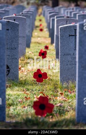 Gedenkfeier ohne Parade und begrenzte Teilnahme am Londoner Cenotaph (11. November 2020) Stockfoto