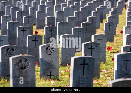 Gedenkfeier ohne Parade und begrenzte Teilnahme am Londoner Cenotaph (11. November 2020) Stockfoto