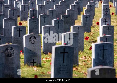 Gedenkfeier ohne Parade und begrenzte Teilnahme am Londoner Cenotaph (11. November 2020) Stockfoto