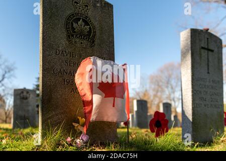 Gedenkfeier ohne Parade und begrenzte Teilnahme am Londoner Cenotaph (11. November 2020) Stockfoto