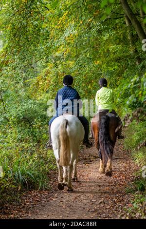 Zwei Menschen reiten durch einige Herbstwälder in gut sichtbarer Sicherheitskleidung. Stockfoto