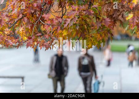 Verschwommenes Bild von Menschen, die gehen. Der Herbst verbrachte draußen im Stadtkonzept Stockfoto