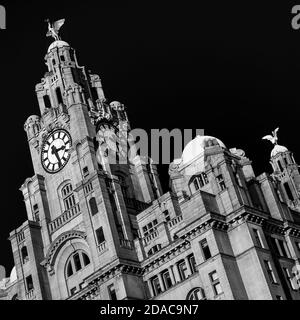 Kontrastreiche Schwarzweißbilder mit Blick auf das Royal Liver Building in Liverpool. Stockfoto