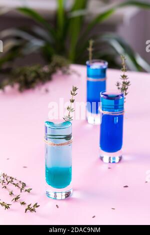 Blaue und grüne alkoholische Schüsse mit einem Zweig von Thymian verziert, Schnapsgläser mit farbigen Schnaps auf rosa Hintergrund Stockfoto