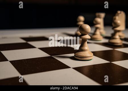 Spielen Sie Holzschach auf einem Elfenbeinbrett, weiße und rook Figuren, Königinnen und Könige, Pferde Tisch im Dunkeln, stilvoll für Werbedesign. Stockfoto