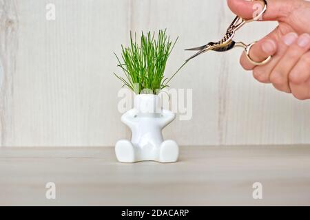 Weiße Keramik Figur des Menschen mit wachsenden frischen Gras aus Sein Kopf sitzt auf einer hölzernen Oberfläche, während die Weibchen Hand nehmen Macht ihn Frisur mit Schere Stockfoto