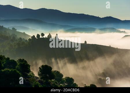 Niedrige Wolken bewegen sich zwischen den Bergen und schaffen eine schöne Landschaft mit Nebel zwischen den Bäumen. Stockfoto