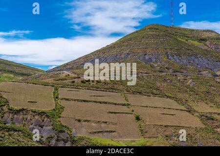 Landwirtschaftliche Landschaft in der Region Maragua, Departemento Sucre, Cordillera Central, Anden, Bolivien, Lateinamerika Stockfoto