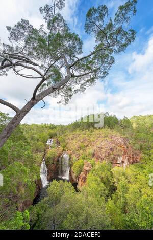 Titel: Die Schwimmlöcher an den Florence Falls gehören zu den meistbesuchten Touristenattraktionen des Litchfield National Park im Northern Territo in Australien Stockfoto