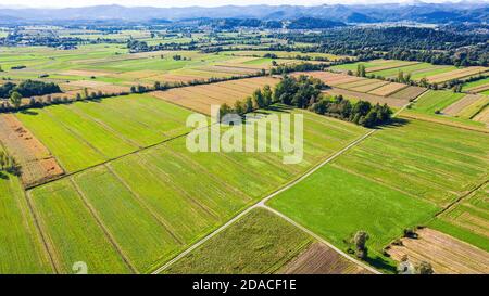 Luftaufnahme der landwirtschaftlichen Felder vom Himmel. Stockfoto